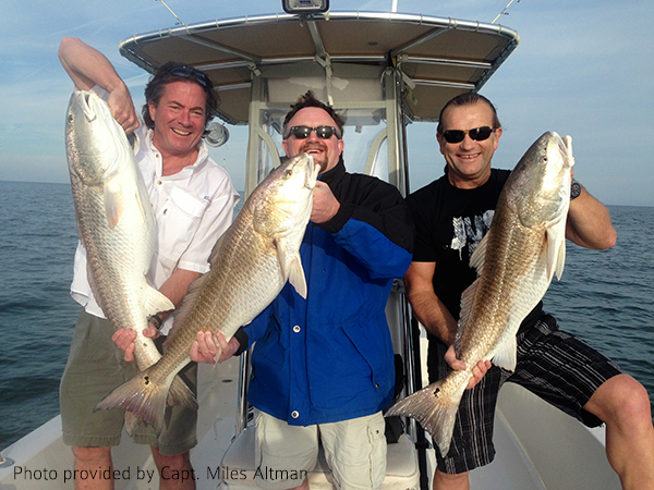 Bulls is a September treat! Also known as redfish, spot tail bass, puppy dr